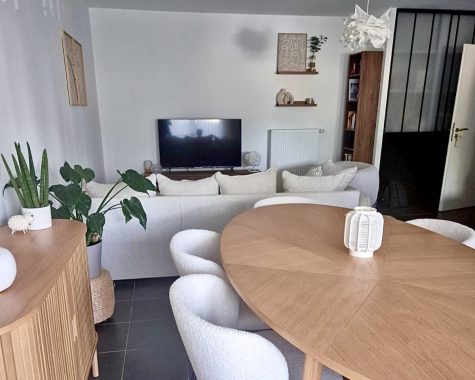 appartement japandi séjour