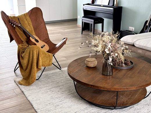 vue salon tapis table basse guitare